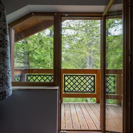 Family Pod Swierkami Centrum Miasta! 公寓