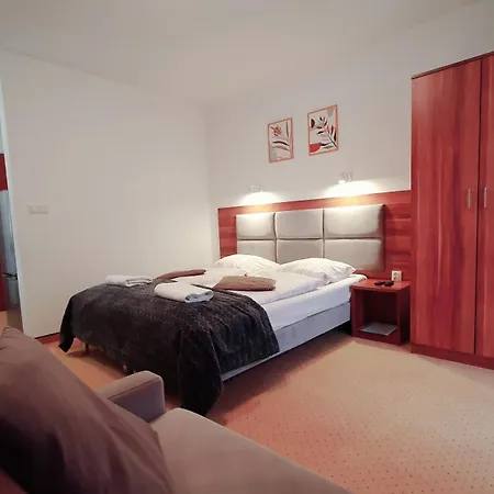 公寓 Family Pod Swierkami Centrum Miasta! 斯克拉斯卡波伦巴